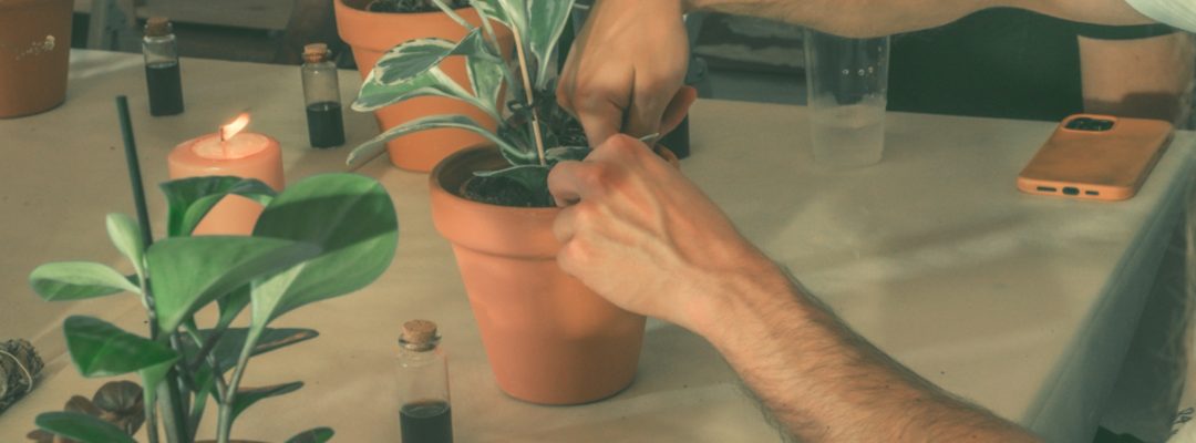 עותק של עיצוב ללא שם